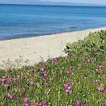 شقة فندقية Christina Sea Side B 3*