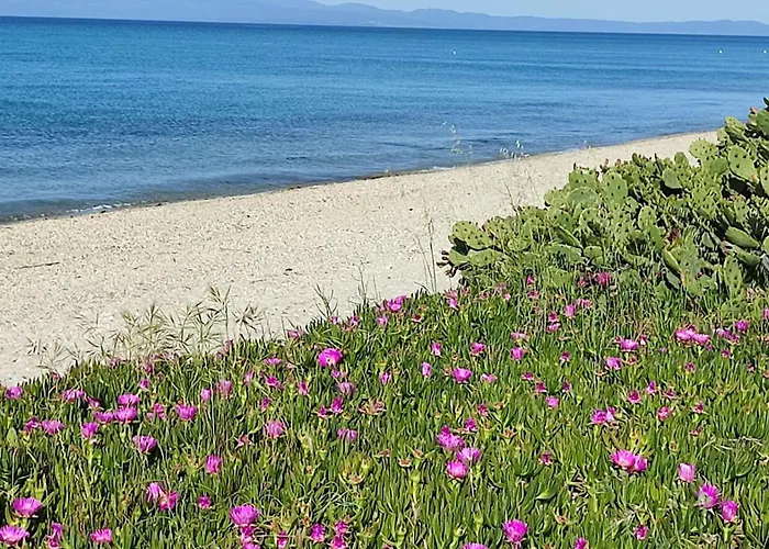 מלון דירות Christina Sea Side B 3*